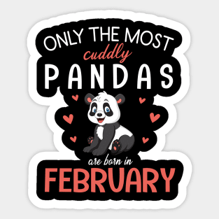 Only The Most Cuddly Pandas Are Born In February My Birthday Sticker